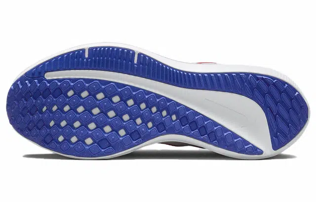Nike Air Winflo 10