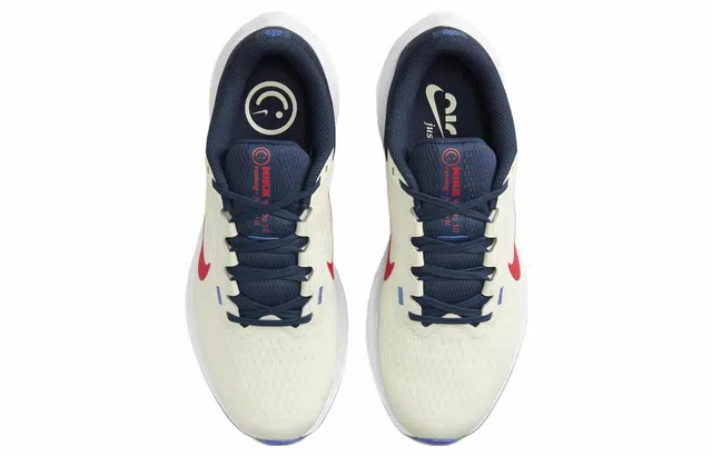 Nike Air Winflo 10