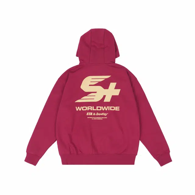 Snowday STAS box logo