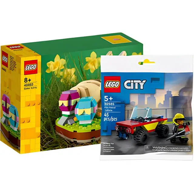 LEGO IDEAS 21318-