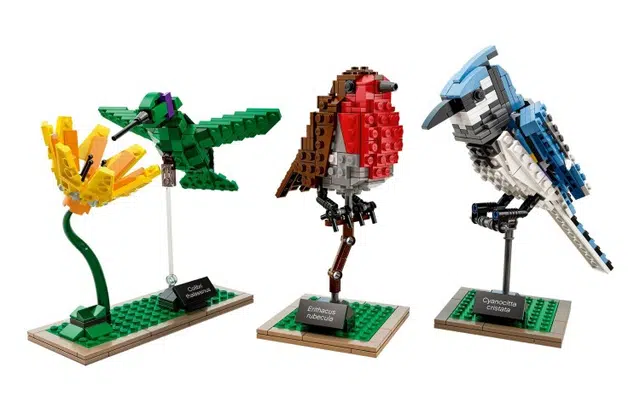 LEGO IDEAS 21301