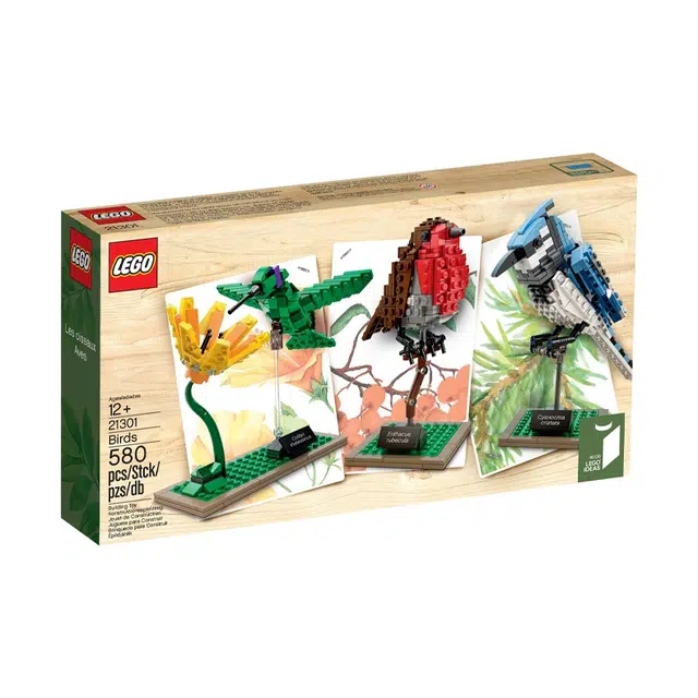 LEGO IDEAS 21301
