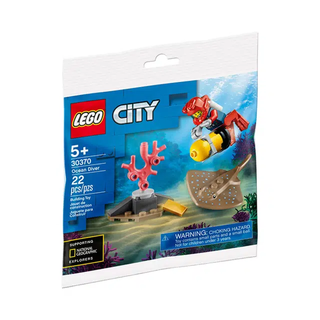 LEGO 22pcs 1 30370