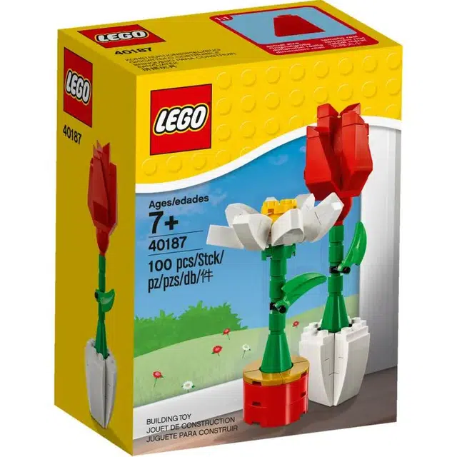 LEGO 100pcs 40187