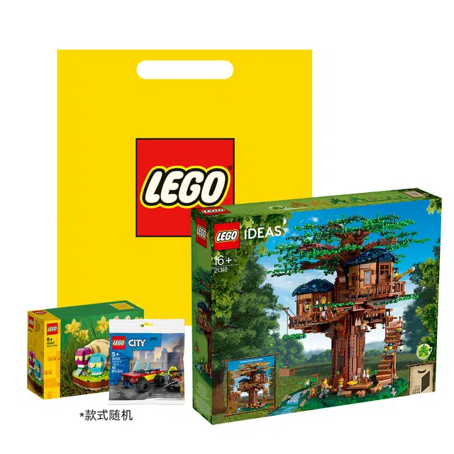 LEGO IDEAS 21318-