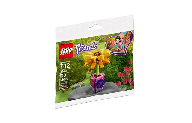 LEGO 30404