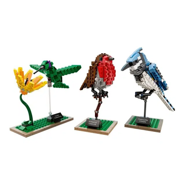 LEGO IDEAS 21301