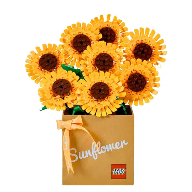 LEGO 764pcs 71043-179439