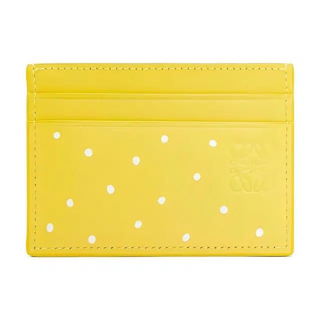 LOEWE x Suna Fujita 24