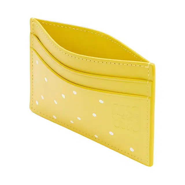 LOEWE x Suna Fujita 24