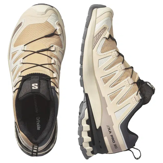 Salomon XA Pro 3D V9 GTX