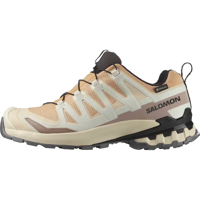 Salomon XA Pro 3D V9 GTX