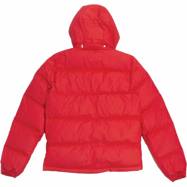 THE NORTH FACE SIERRA DOWN SHORT JACKET