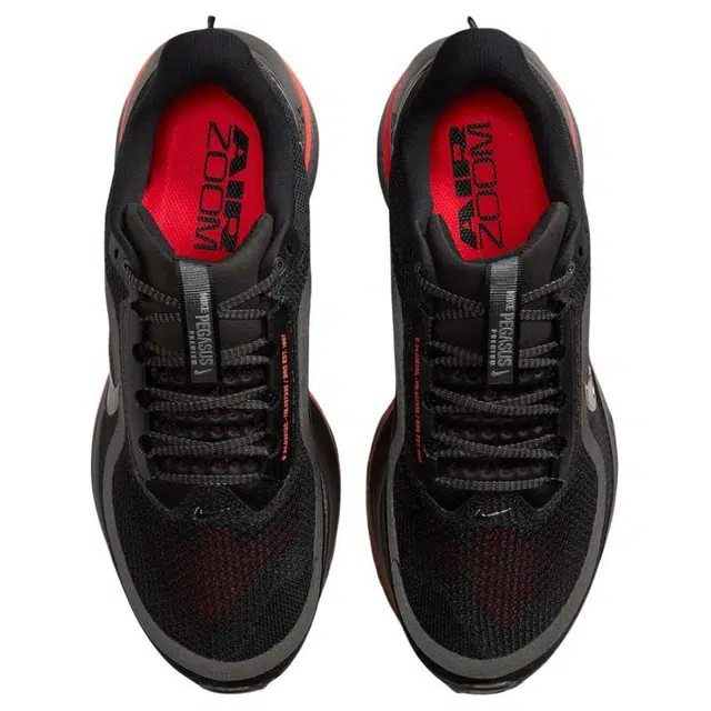 Nike Pegasus Premium