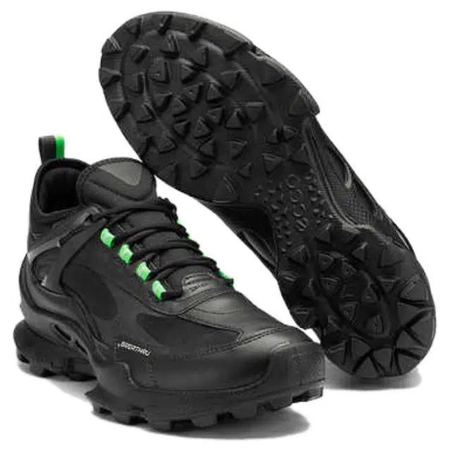 ecco Biom C Trail