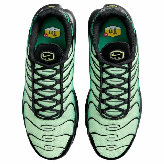 Nike Air Max Plus