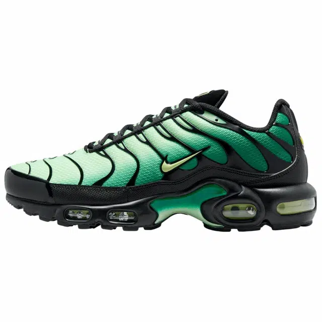 Nike Air Max Plus