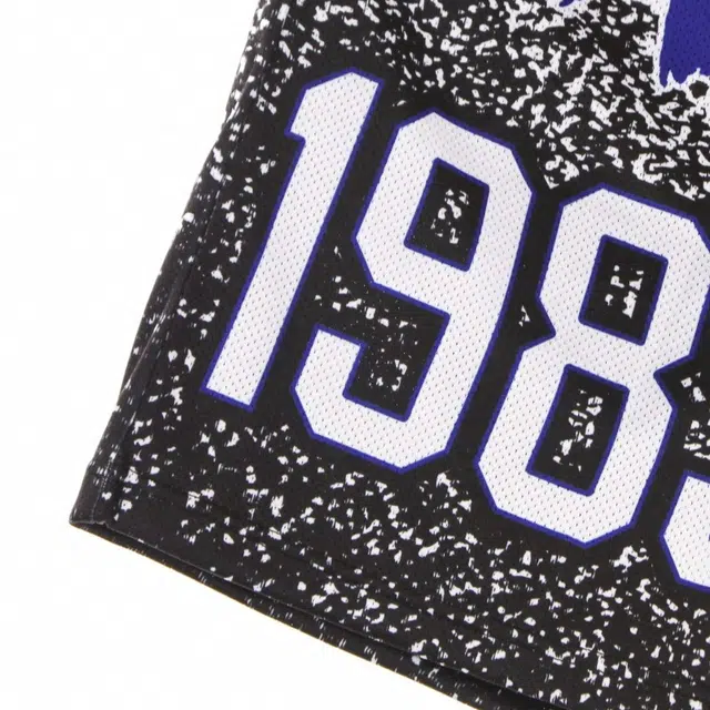 Mitchell Ness SW