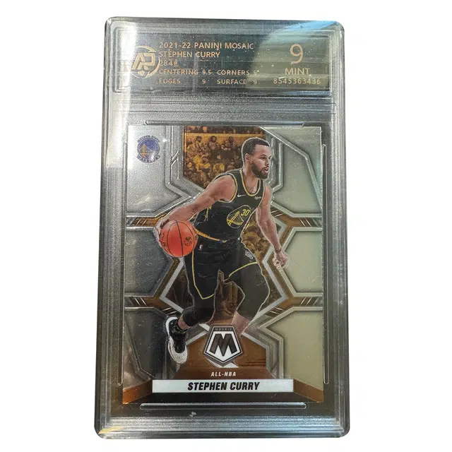 PANINI 2021-2022 RPA 9