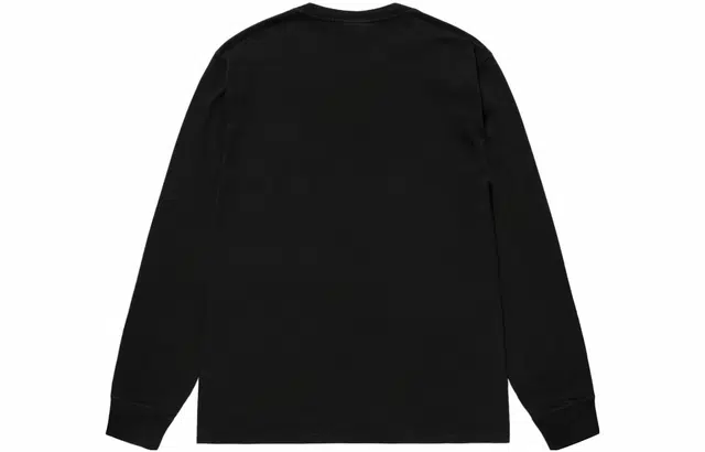 Stussy FW23 SMALL STOCK LS TEE PIGMENT DYED logoT