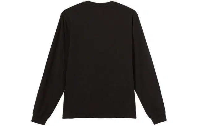 Stussy Overdyed LS Tee LogoT