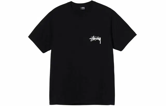 Stussy Big Link Tee T