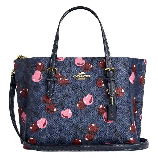 COACH Mollie 25 Tote