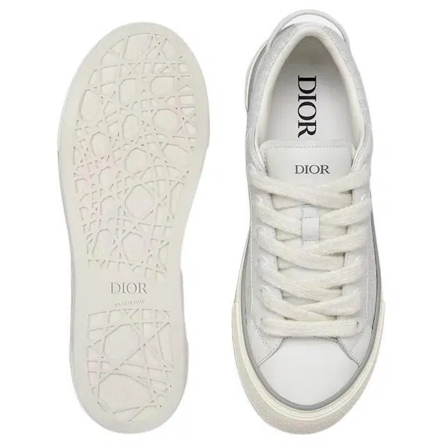 DIOR B33