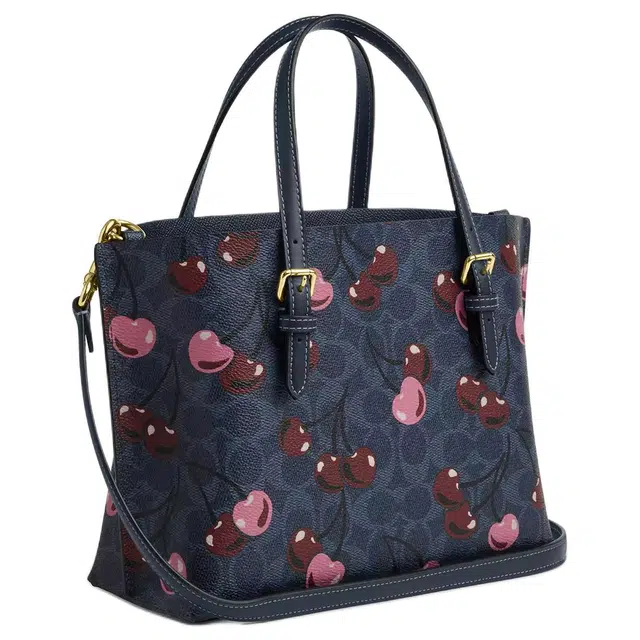 COACH Mollie 25 Tote
