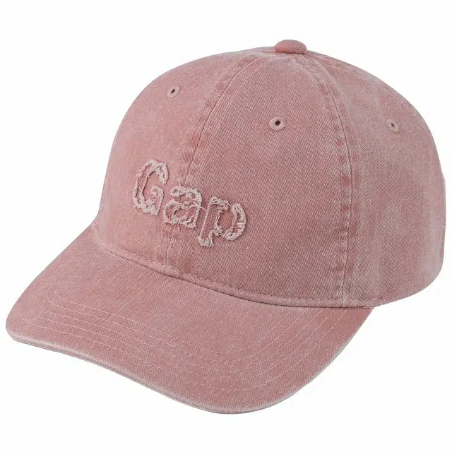 GAP logo