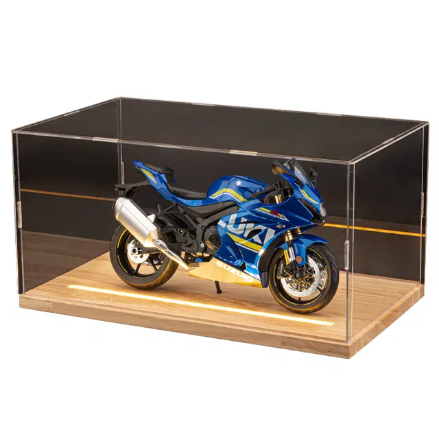 GSX-R1000 19