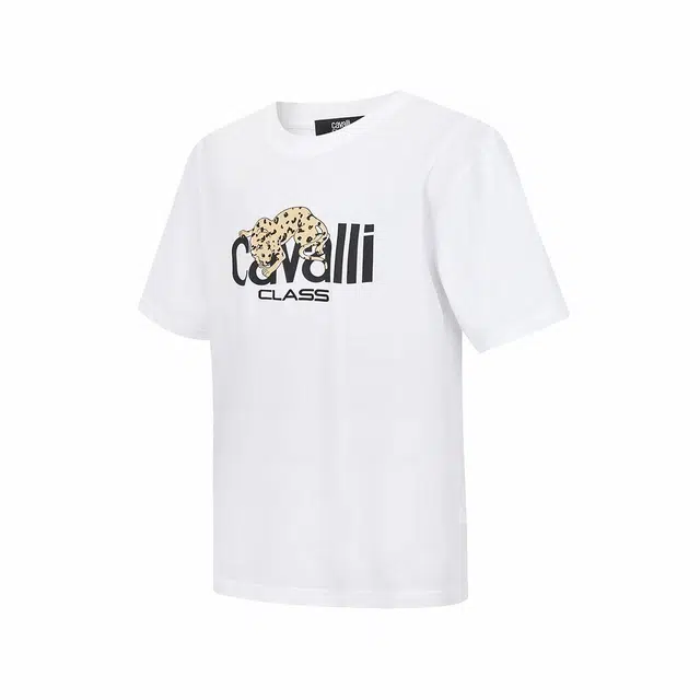 Cavalli Class T