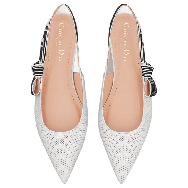 DIOR Toujours