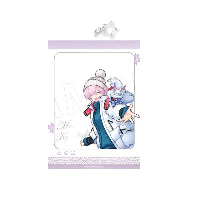 Aniplex FGO FES2024