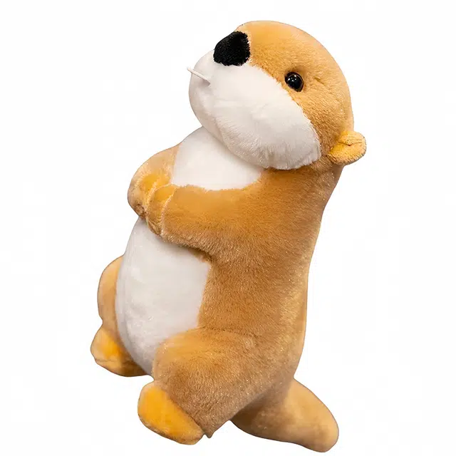 22cm