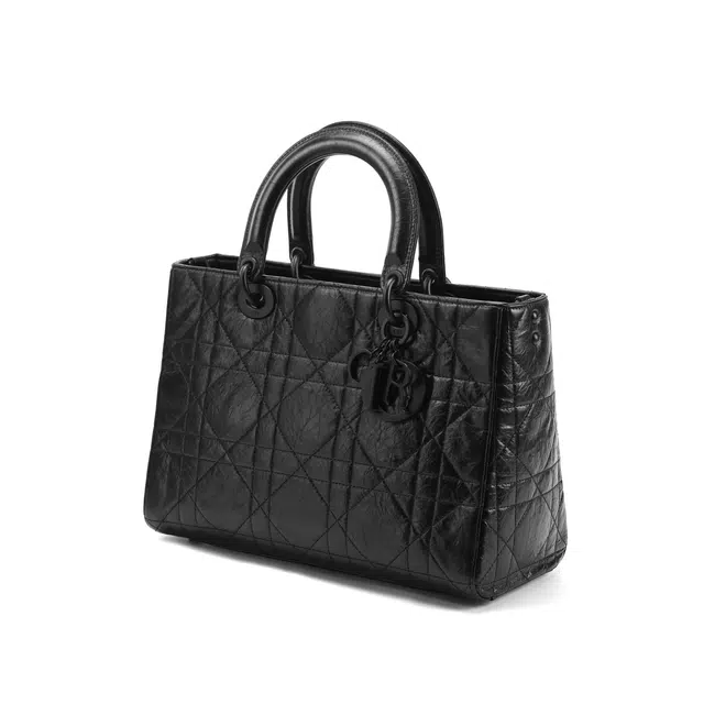 DIOR Lady D-Sire My ABCDior