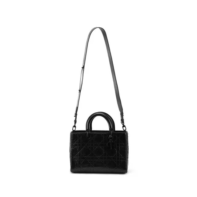 DIOR Lady D-Sire My ABCDior