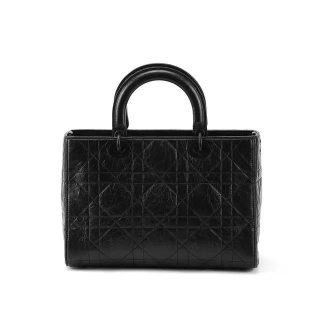DIOR Lady D-Sire My ABCDior