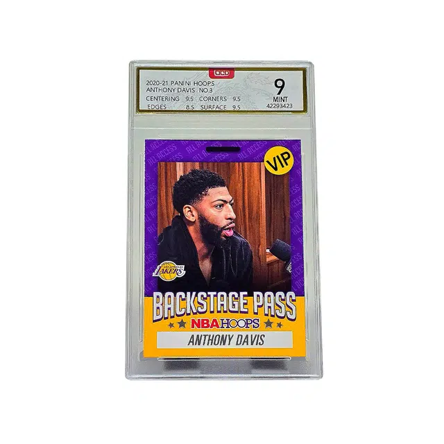 PANINI HOOPS VIP