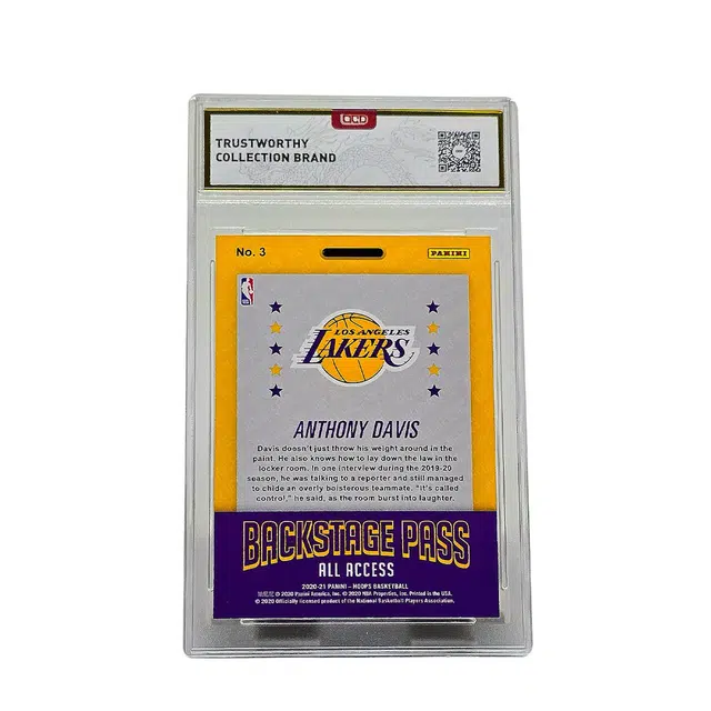 PANINI HOOPS VIP
