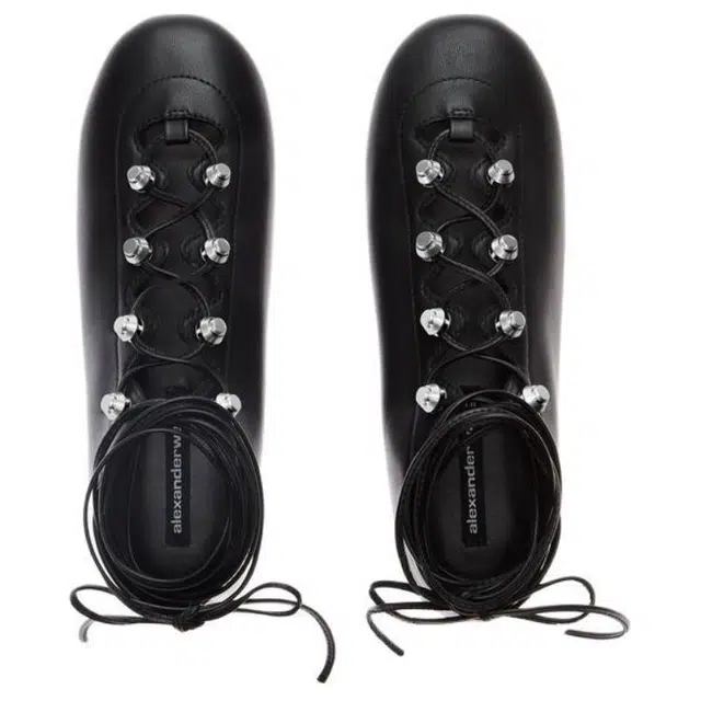 alexander wang Vyolette