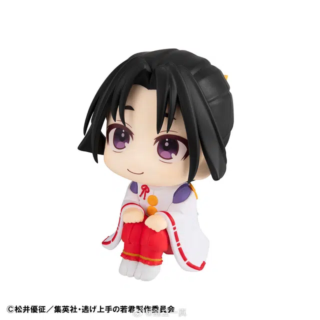 MegaHouse lookup Q