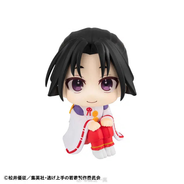 MegaHouse lookup Q