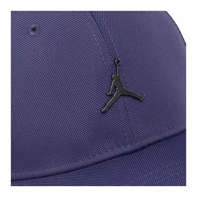 Jordan 3D Logo Cap Purple
