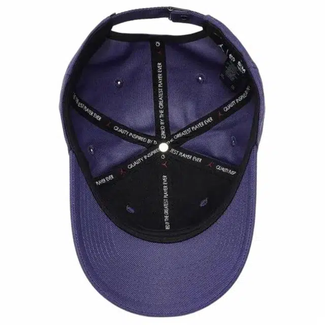 Jordan 3D Logo Cap Purple