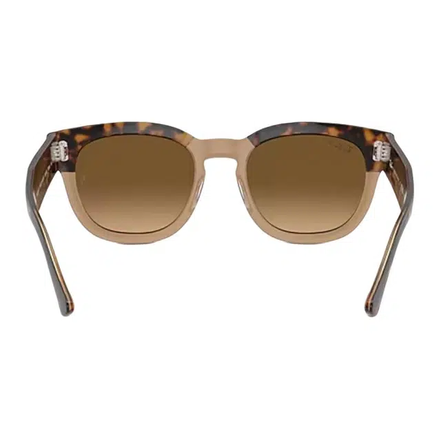 RayBan