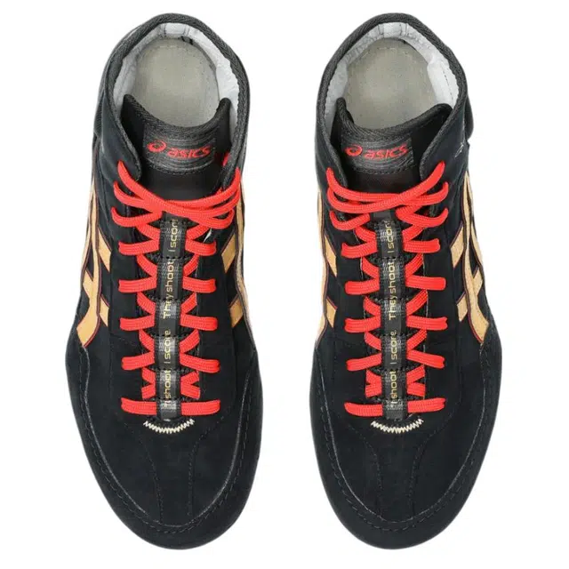 Asics Evo 3