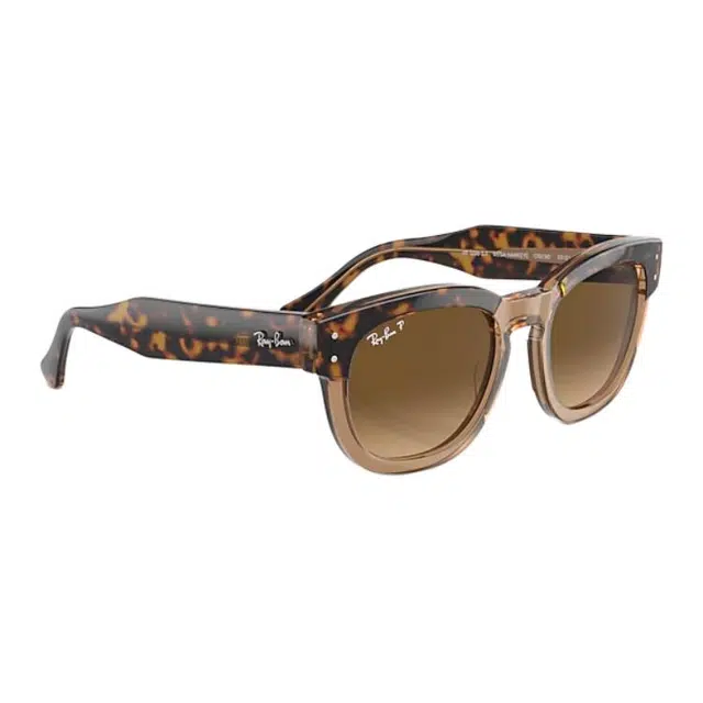 RayBan