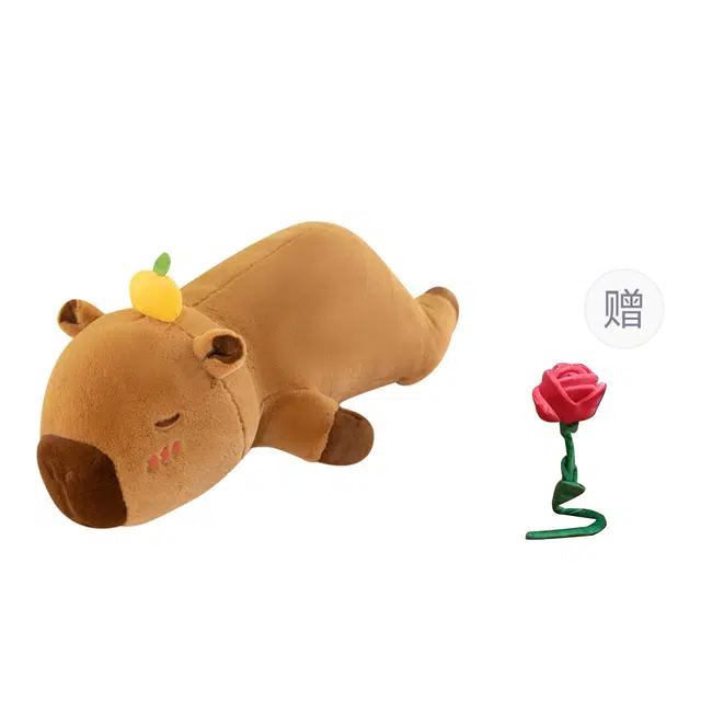60cm80cm100cm
