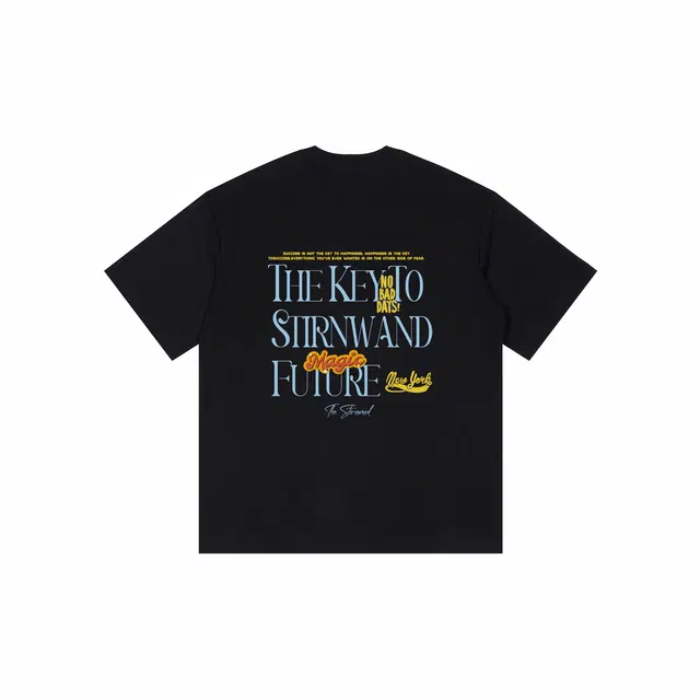 STIRNWAND logoT